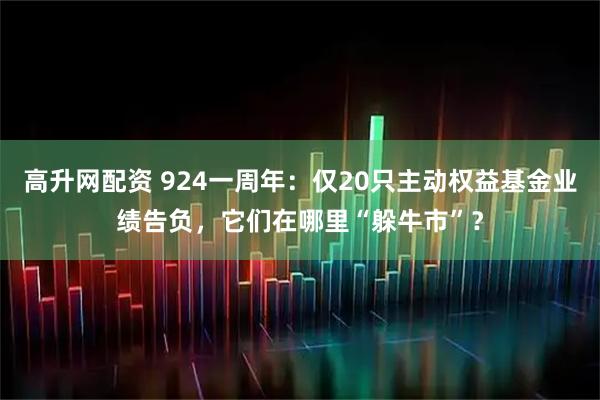高升网配资 924一周年：仅20只主动权益基金业绩告负，它们在哪里“躲牛市”？