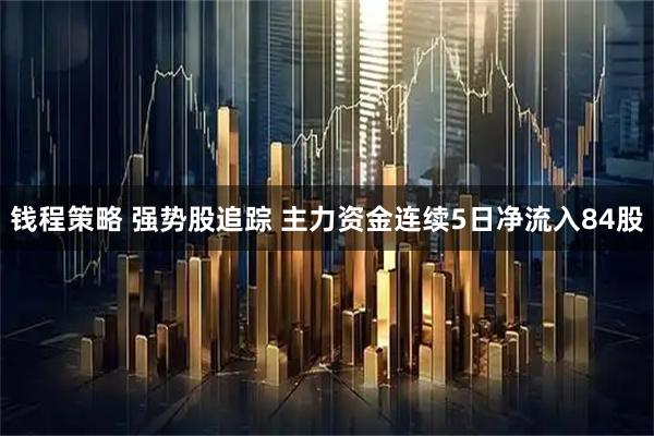 钱程策略 强势股追踪 主力资金连续5日净流入84股